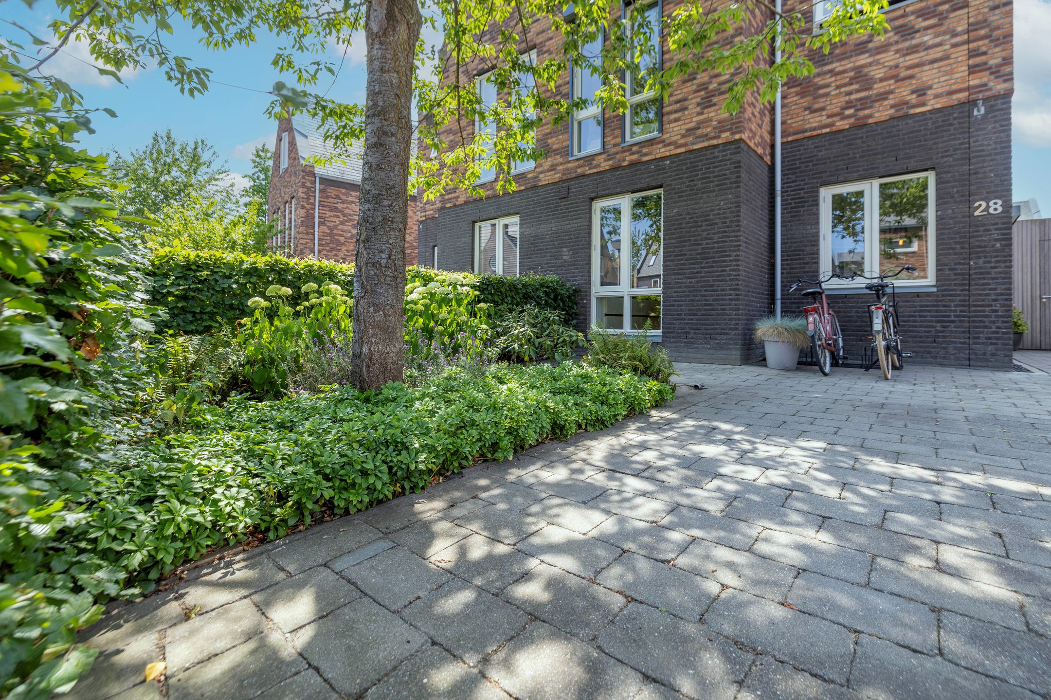 Foto 45 van Timmerhout 28