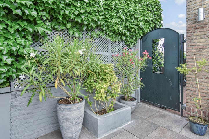 Foto 31 van Saloméschouw 29