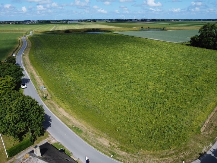 Photo 4 of Selschardijk 5-A