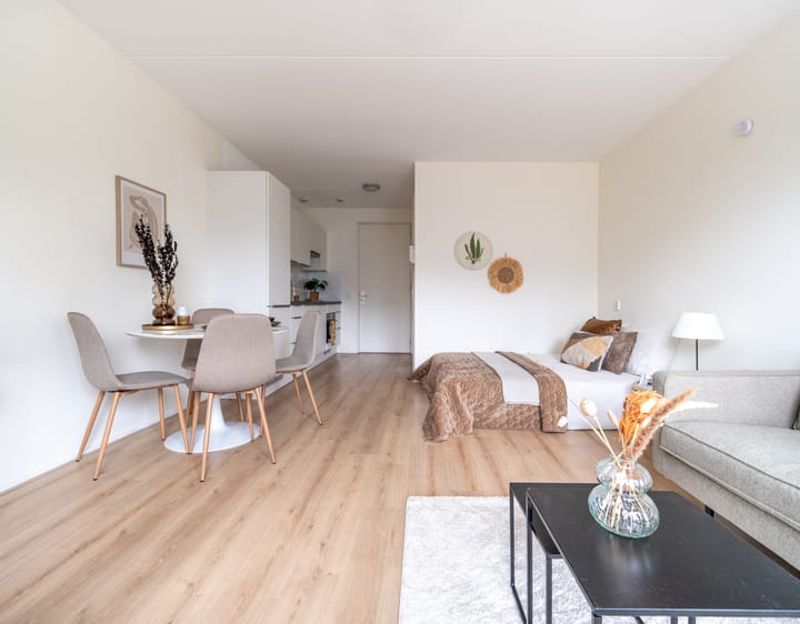 Foto 7 van Europaplein 760