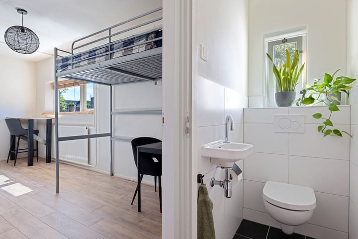 Foto 45 van Hora Siccamasingel 54-A