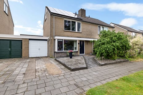 undefined main image