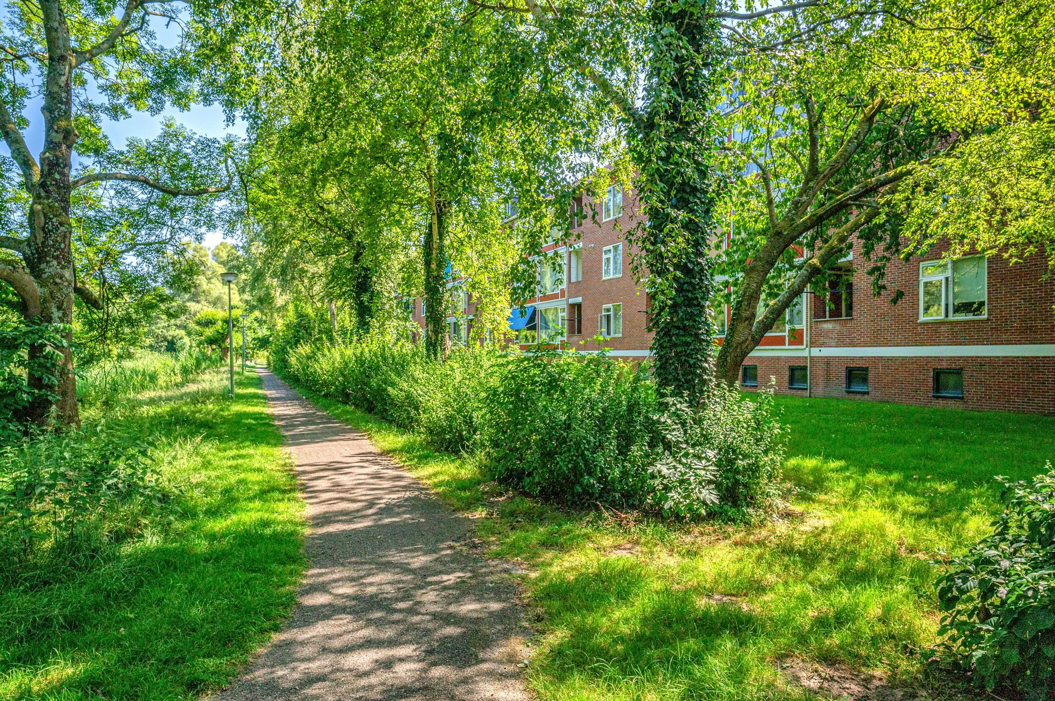 Photo 30 of Populierenlaan 119