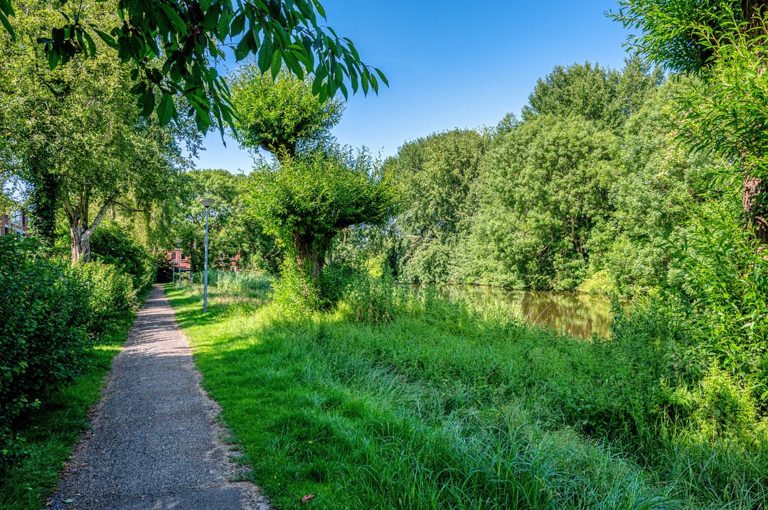 Photo 31 of Populierenlaan 119