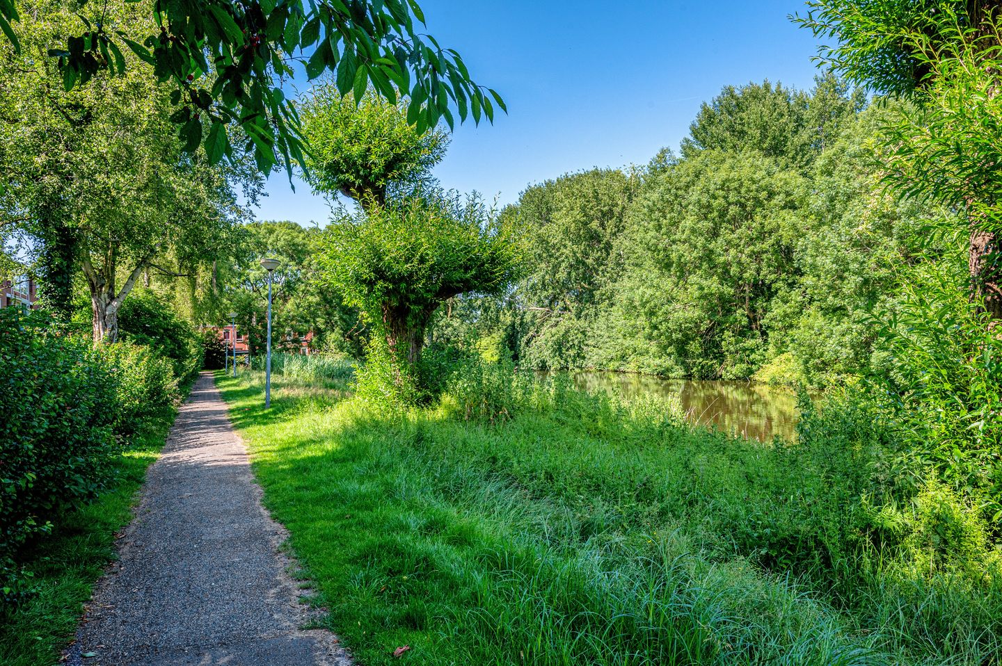 Foto 29 van Populierenlaan 119