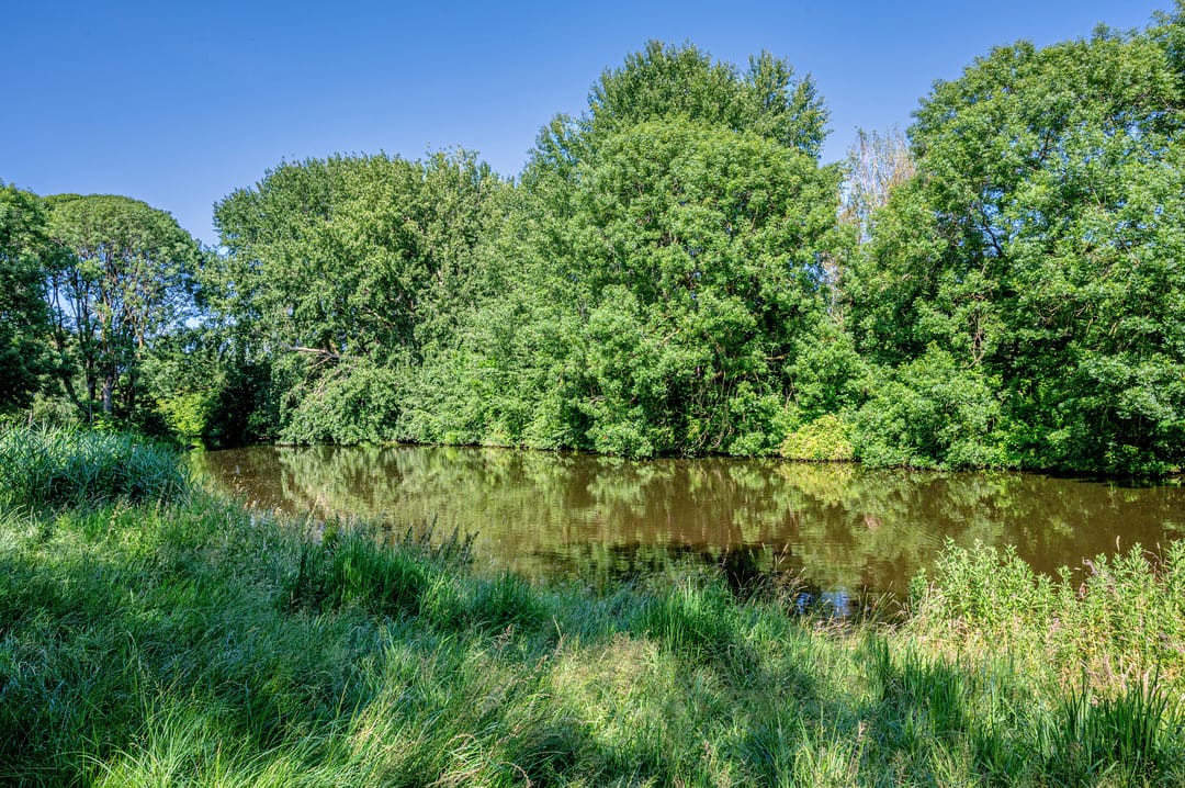 Photo 32 of Populierenlaan 119