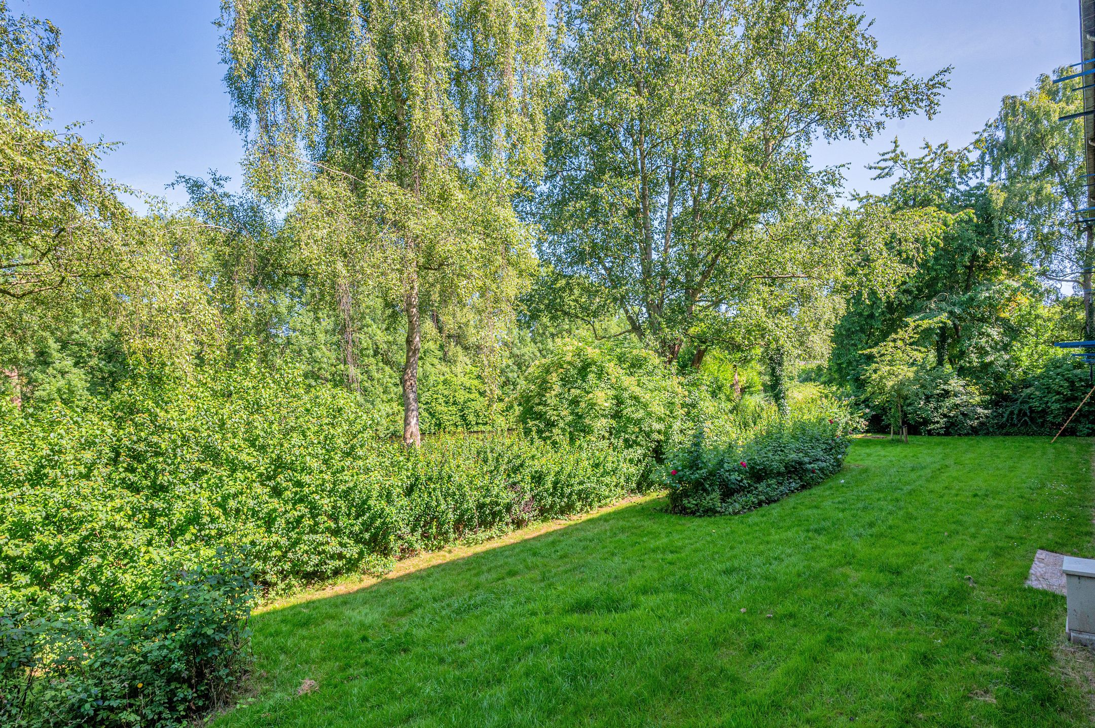 Photo 33 of Populierenlaan 119