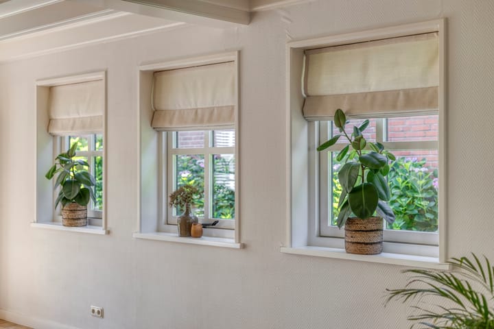 Foto 21 van Koarteloane 5