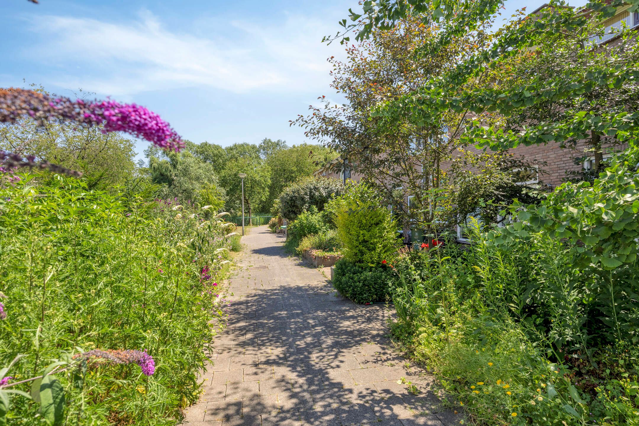 Photo 3 of Franciscushof 129