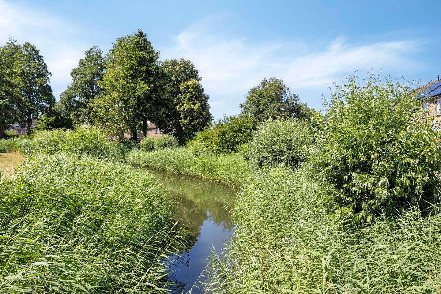 Photo 34 of Franciscushof 129