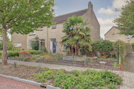 undefined main image