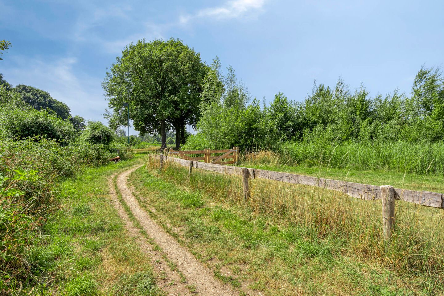 Photo 40 of Eikenlaan 11