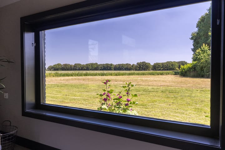 Foto 5 van Balloo 90