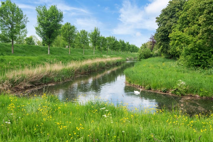 Foto 30 van Saturnusstraat 219