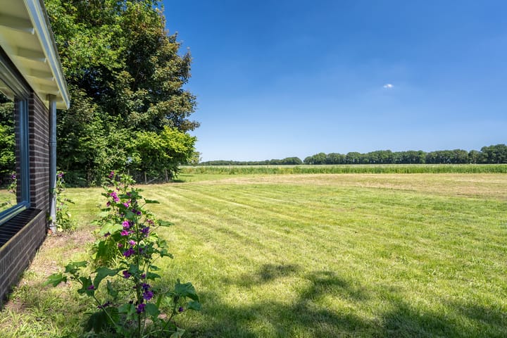 Foto 59 van Balloo 90