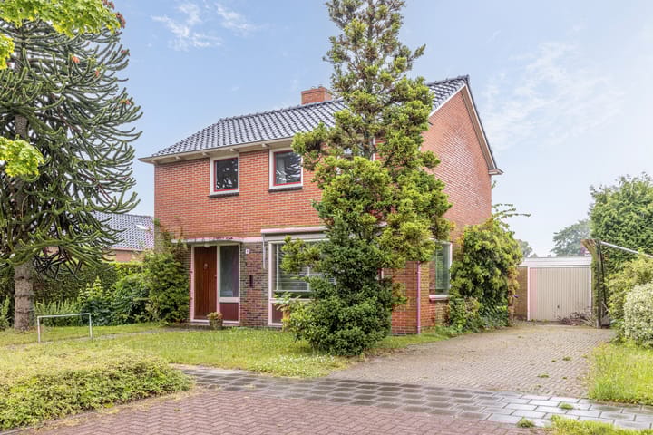 undefined main image