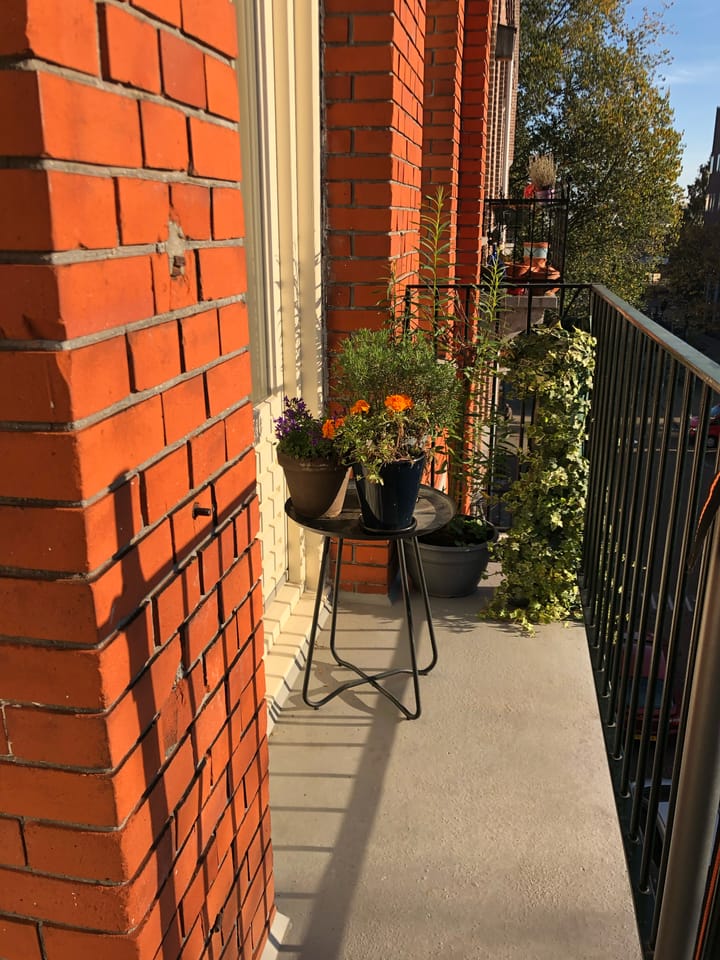 Foto 18 van Domselaerstraat 61-3