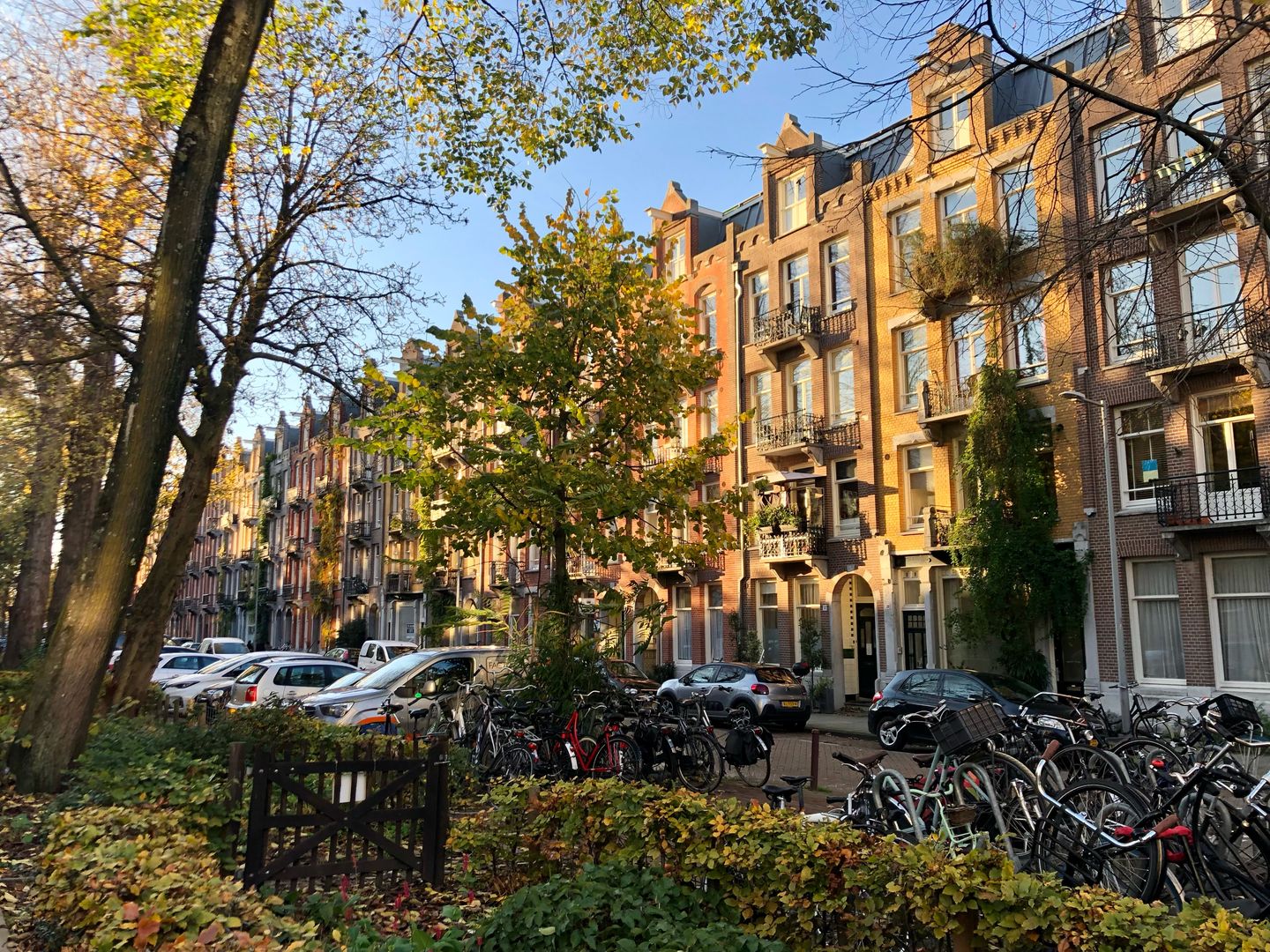 Photo 19 of Domselaerstraat 61-3