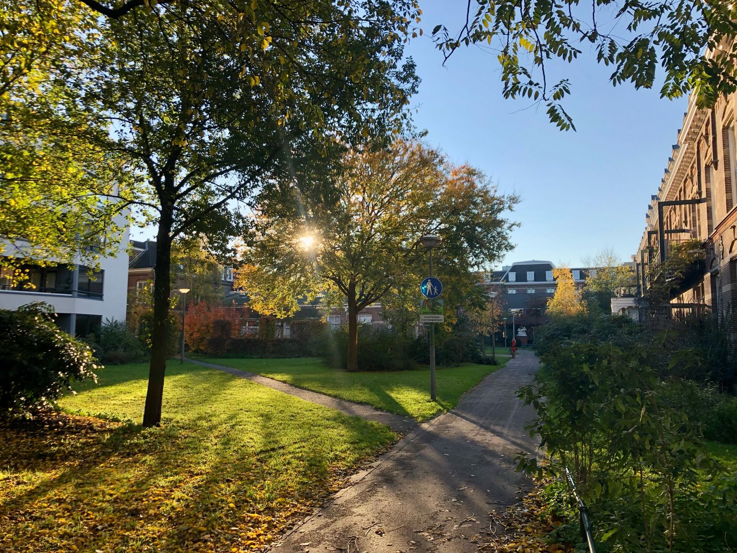 Photo 20 of Domselaerstraat 61-3