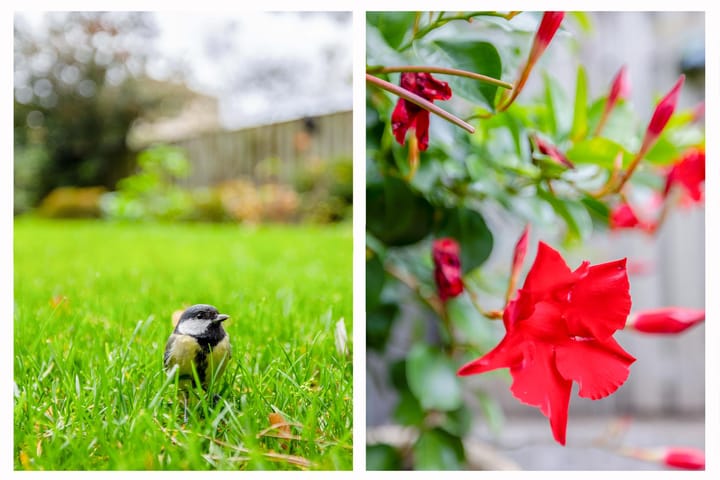 Foto 22 van Planetenlaan 32