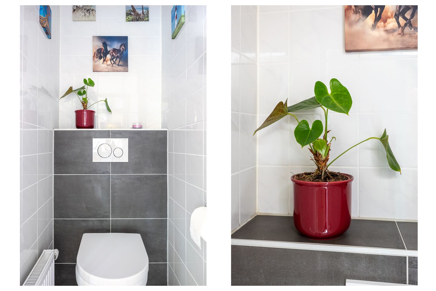 Foto 19 van Roerstraat 12