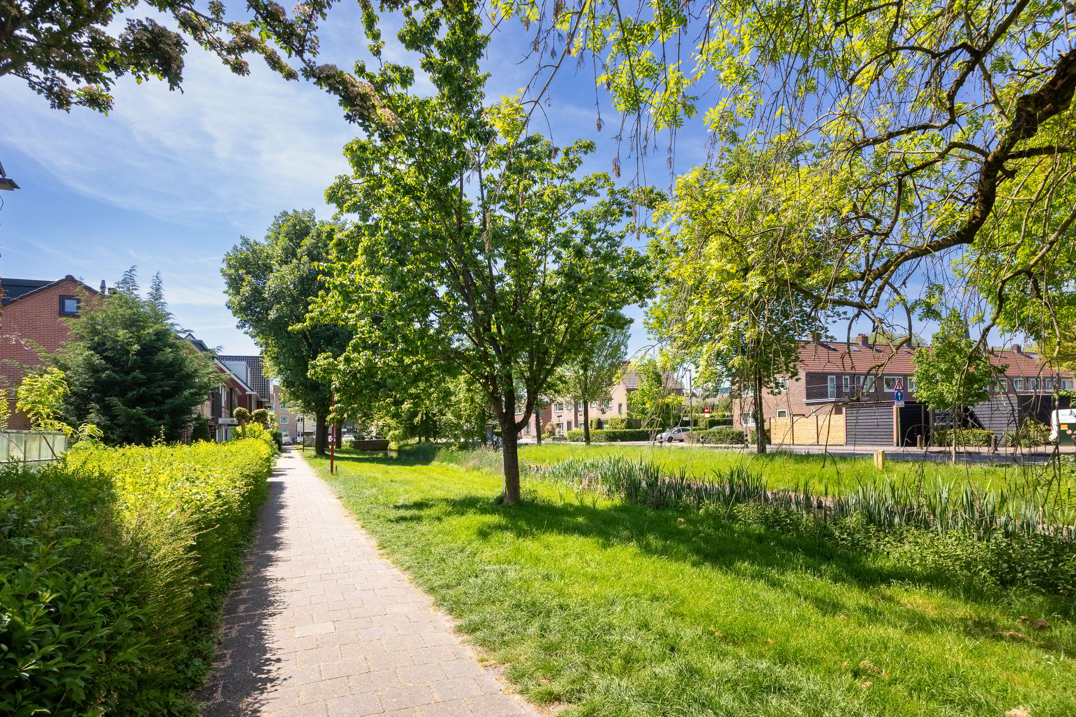 Foto 51 van Roerstraat 12