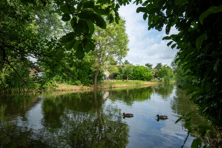 Foto 22 van Krachtighuizerweg 38-205