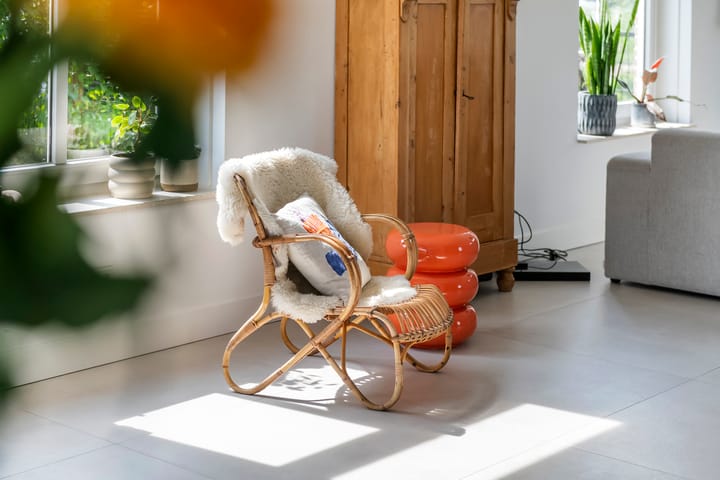 Foto 4 van Blanckestyn 29