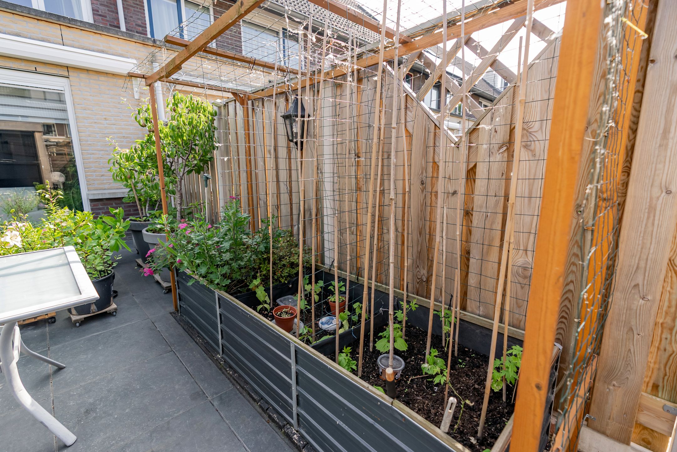 Foto 39 van Brederostraat 23