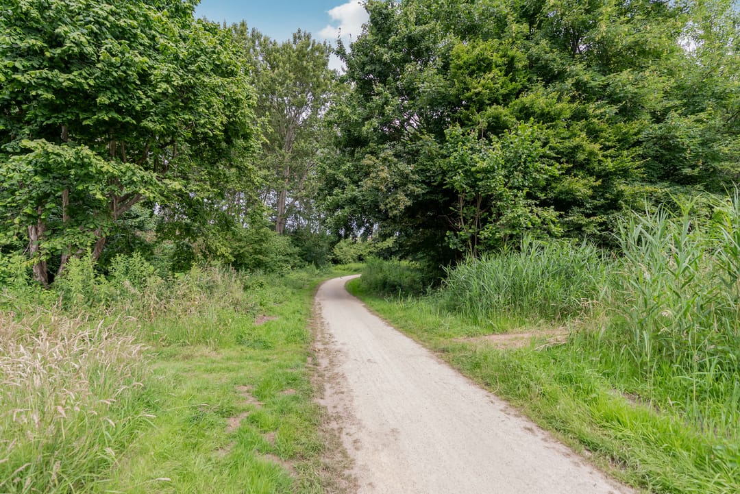 Foto 53 van Brederostraat 23