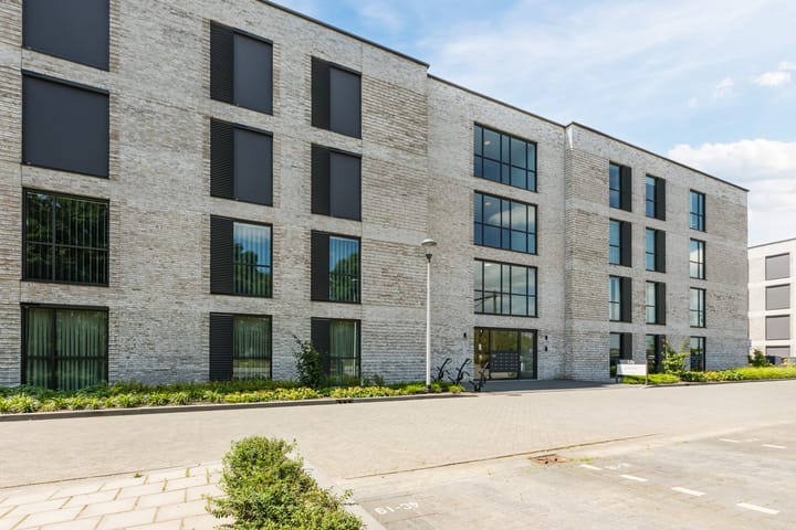 Foto 2 van Jonkheer 11