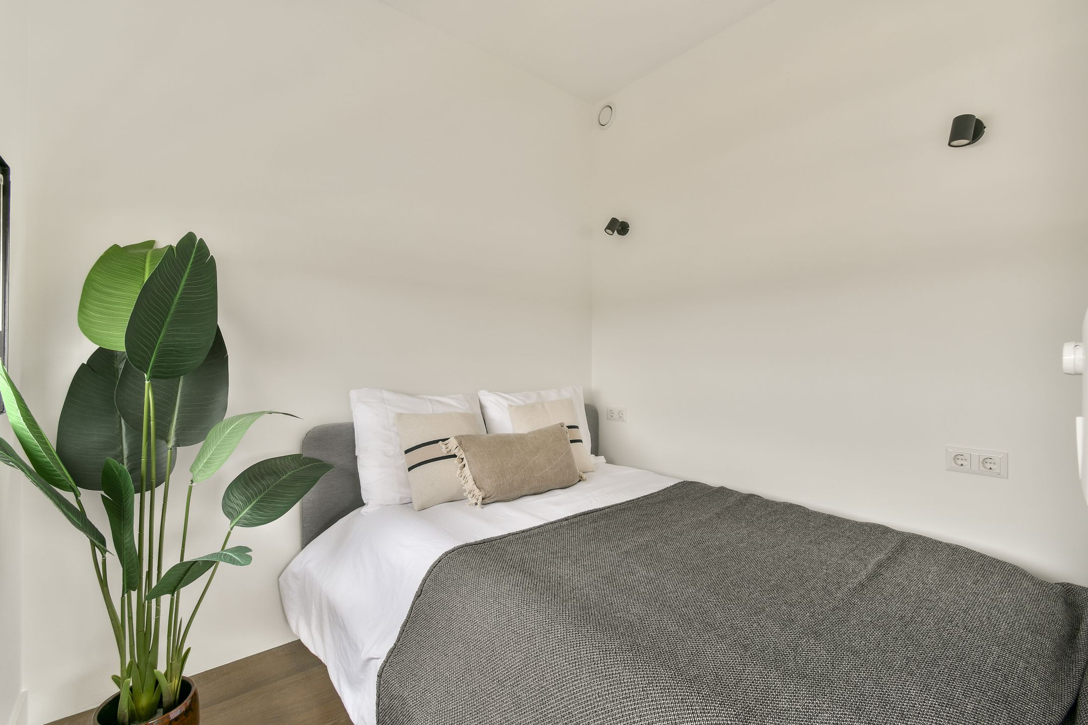 Foto 21 van Struisgrasstraat 1-H