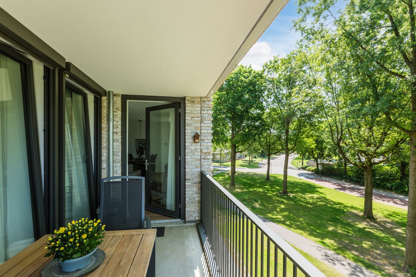 Foto 20 van Jonkheer 11