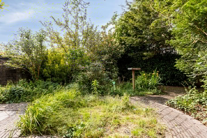 Foto 41 van Rombout Hogerbeetsstraat 5