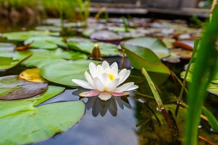 Foto 44 van Richthuisstraat 22