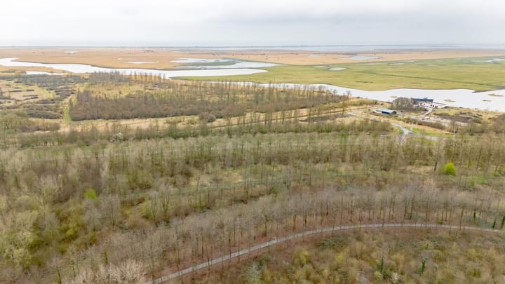 Foto 46 van Richthuisstraat 22