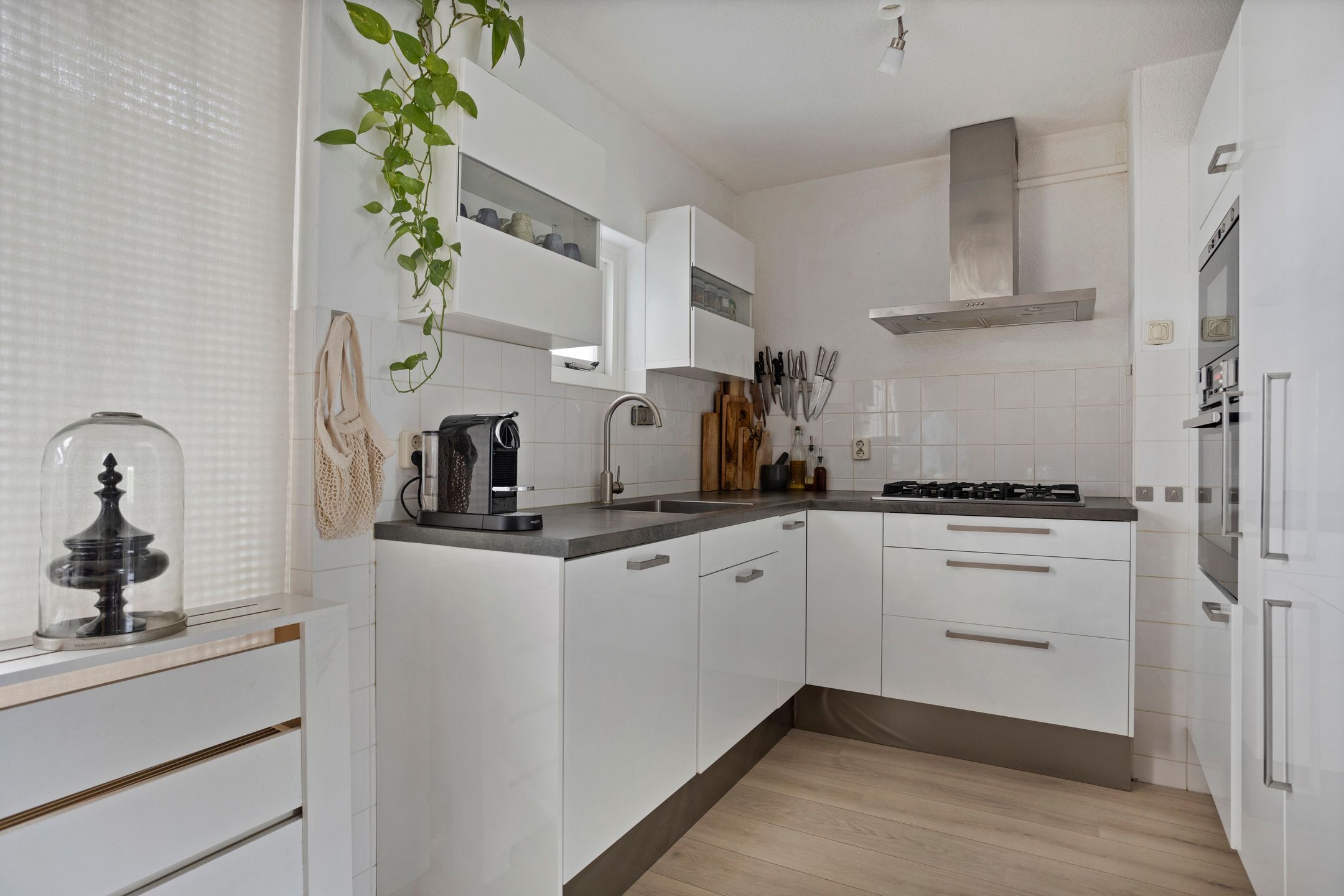 Foto 21 van Linnaeus-serre 5