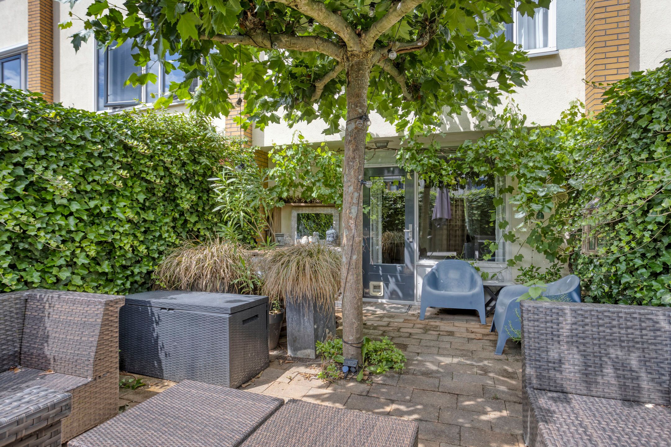 Foto 33 van Linnaeus-serre 5