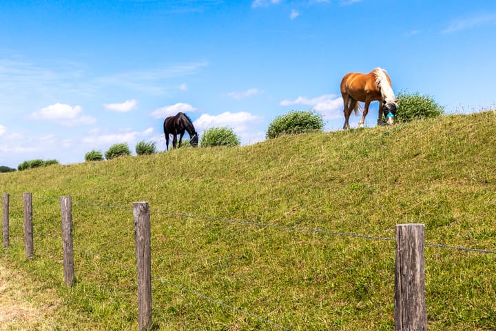 Photo 4 of Jacobus de Waalstraat - kavel 4