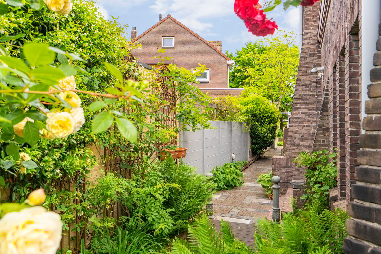 Foto 59 van Molenbochtplein 33