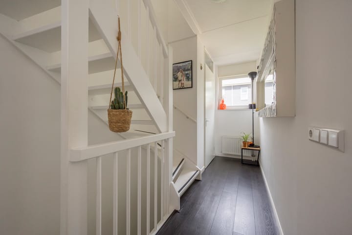 Foto 14 van Zijdevlinder 94