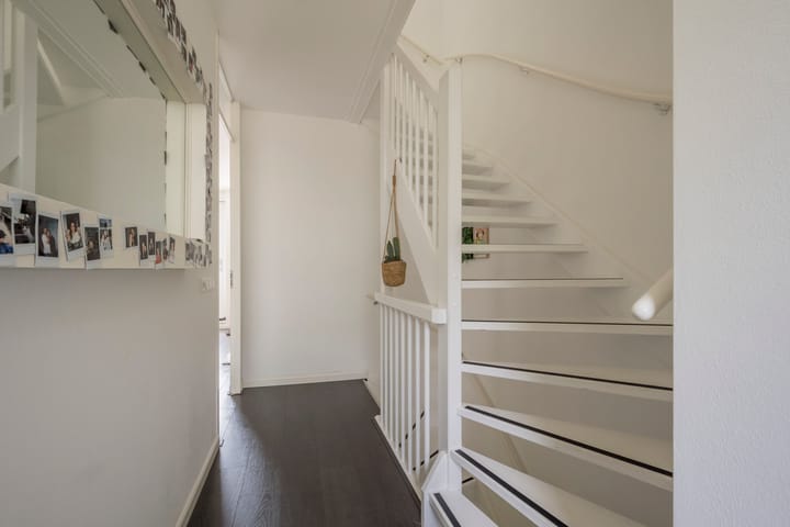 Foto 16 van Zijdevlinder 94