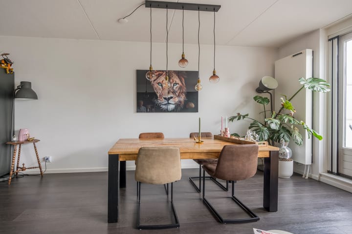 Foto 6 van Zijdevlinder 94