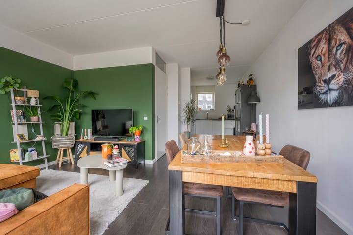 Foto 7 van Zijdevlinder 94