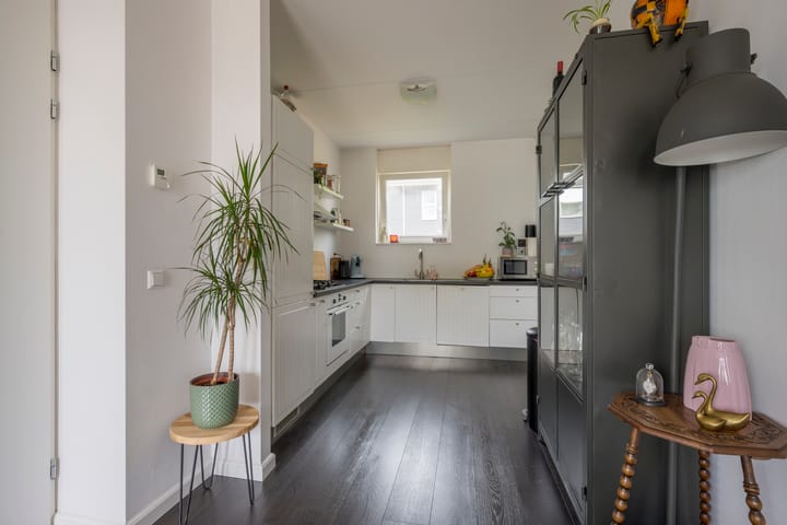 Foto 8 van Zijdevlinder 94