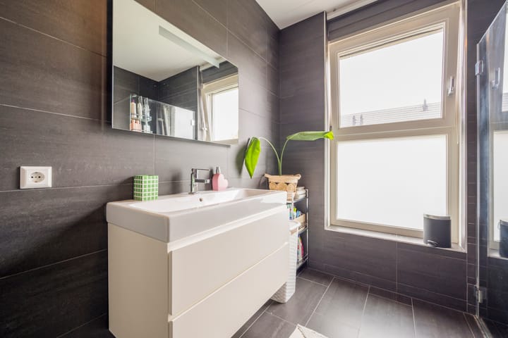 Foto 23 van Zijdevlinder 94