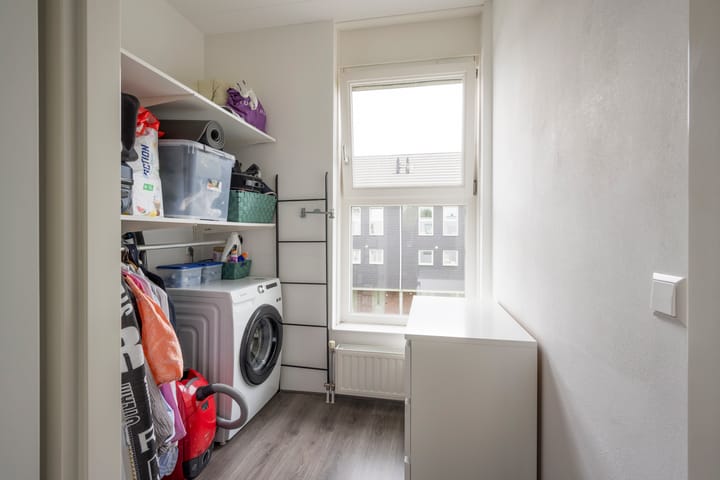 Foto 26 van Zijdevlinder 94