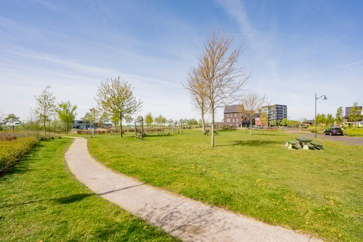 Foto 36 van Zijdevlinder 94