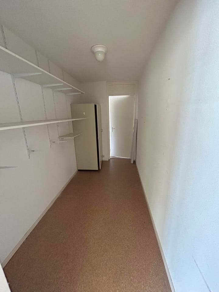 Foto 7 van Dorpsdijk 58