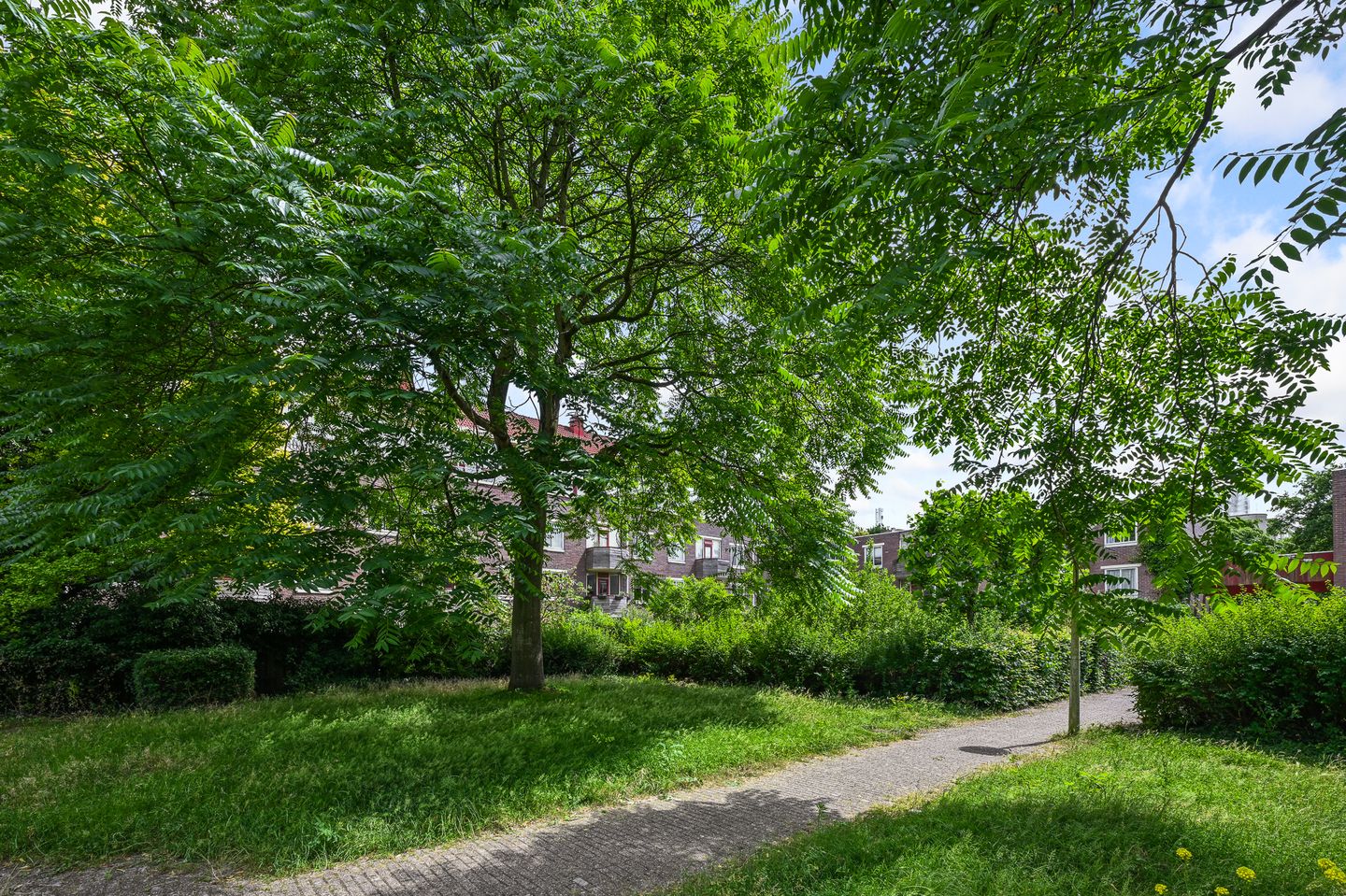 Foto 29 van Voorthuizenstraat 54